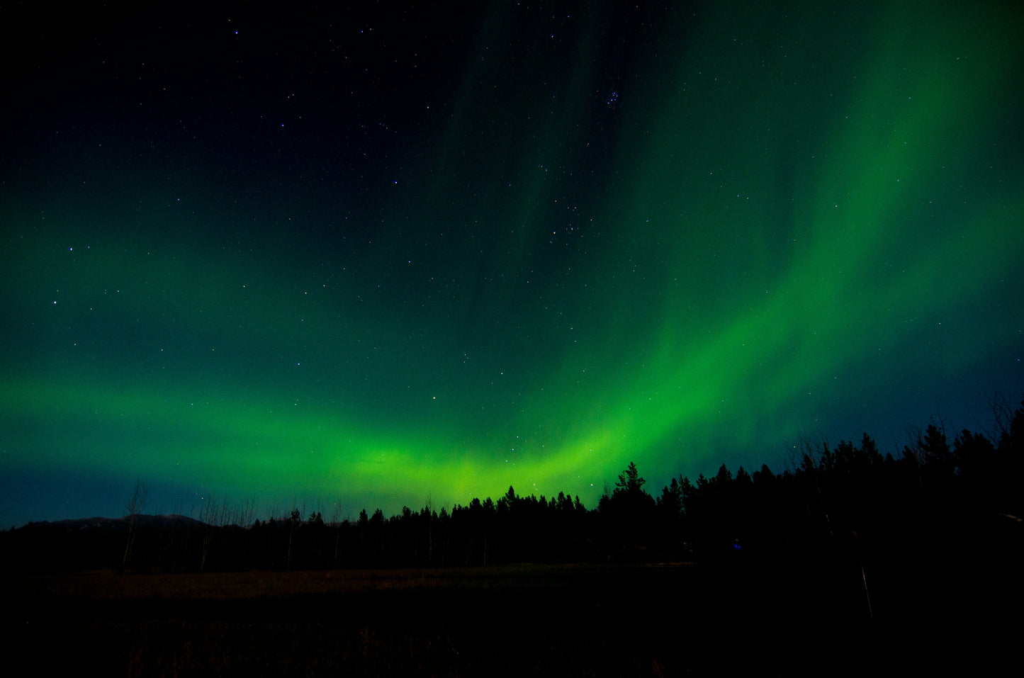Yukon Night Adventure – Ice Climb, Wild Fondue & Northern Lights