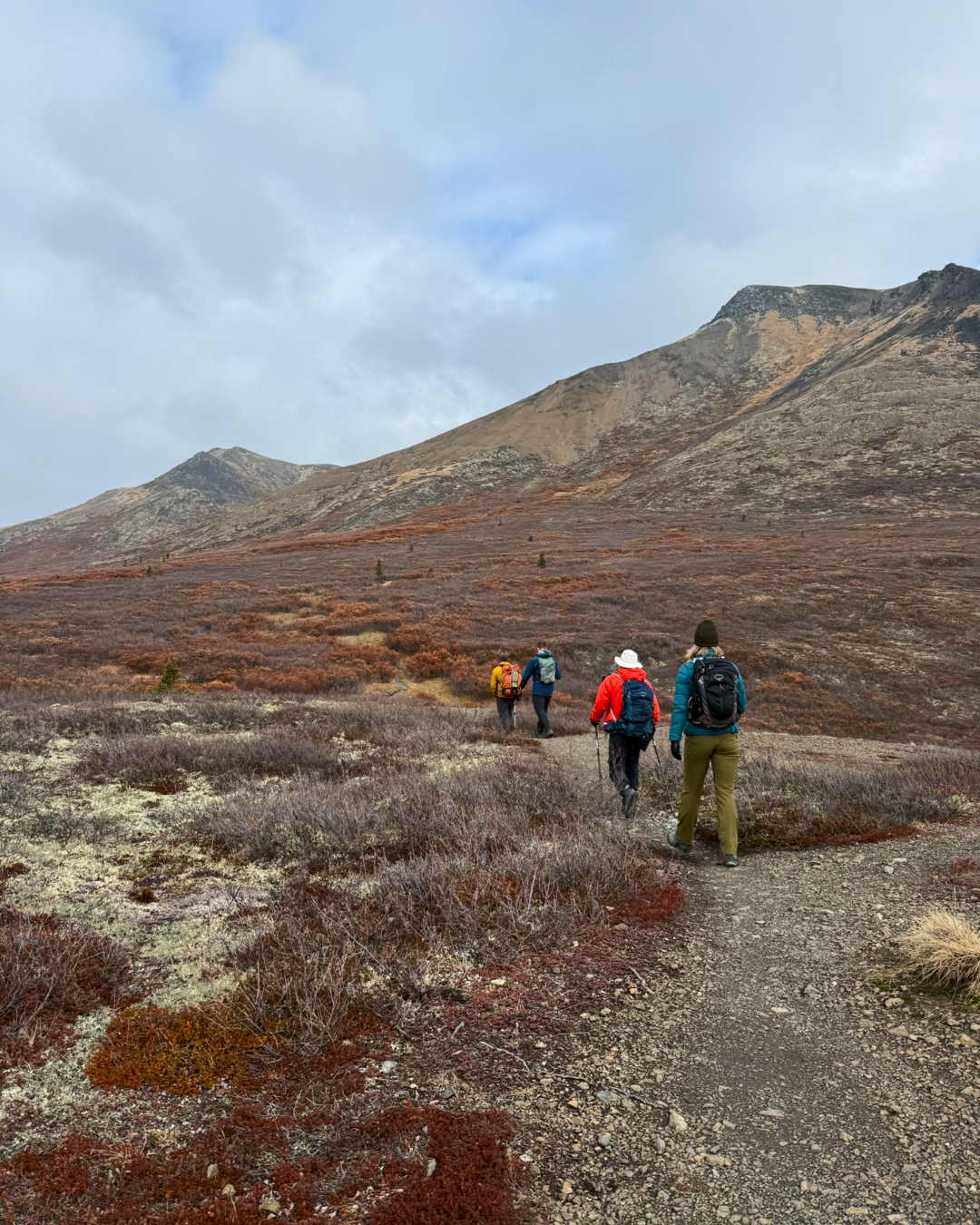 Hiking through open tundra landscape in northern Yukon