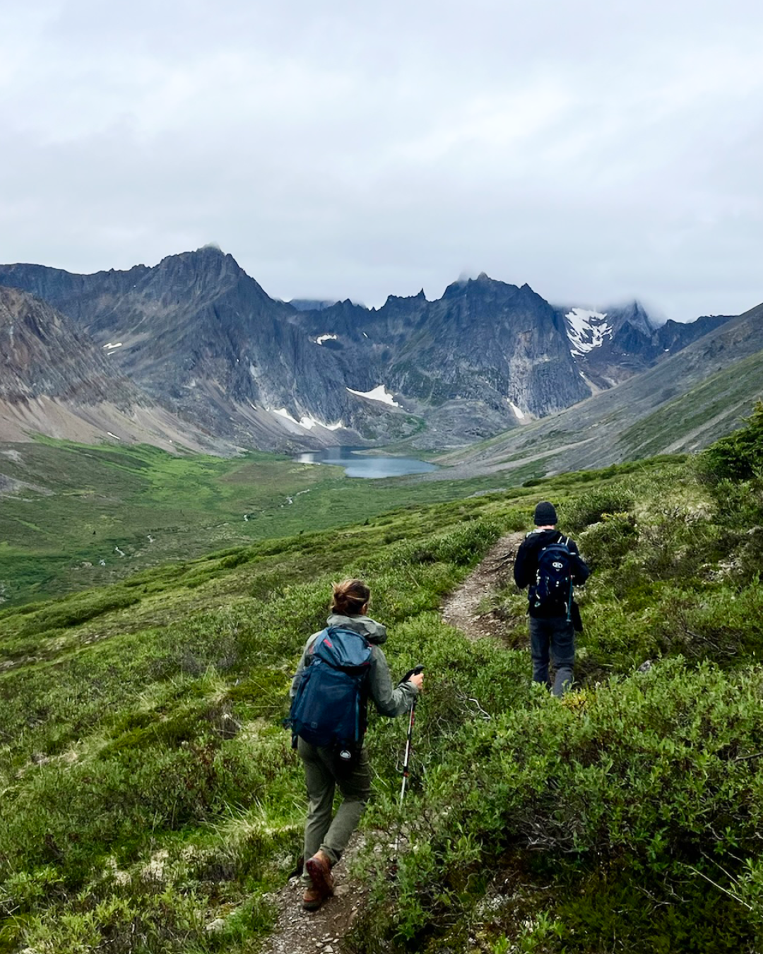 Guided hiking group traversing jagged peaks in Tombstone Territorial Park