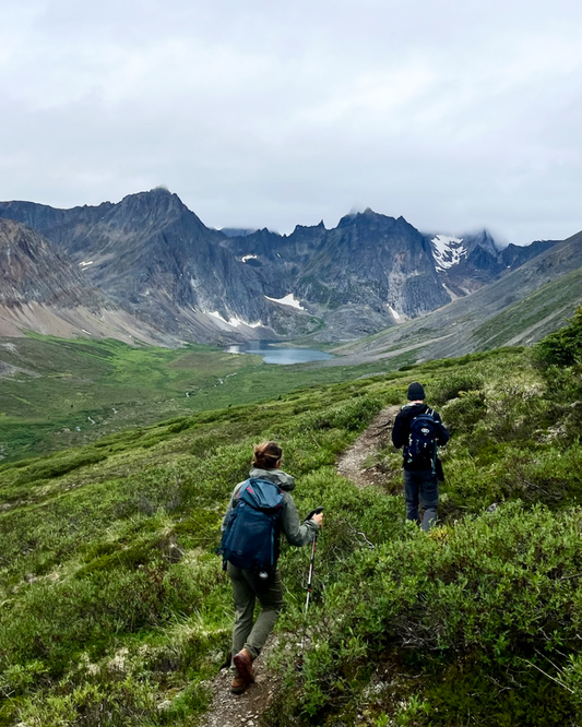 Guided hiking group traversing jagged peaks in Tombstone Territorial Park
