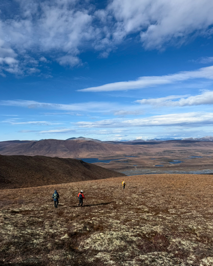 Hikers on tundra Vines Mountain Tombstone Yukon