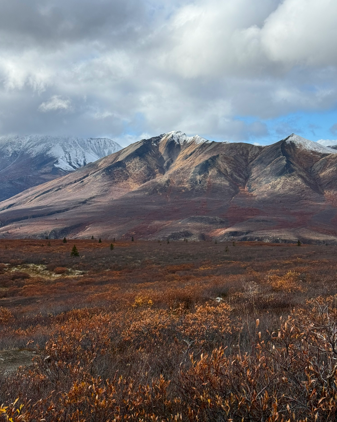 Yukon mountains and tundra turning orange in autumn